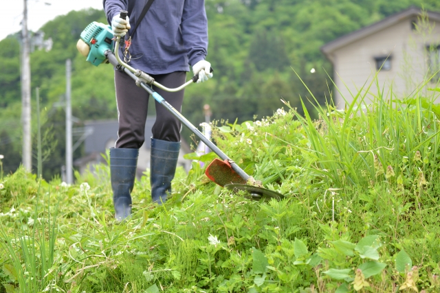 うるま市で草刈りに最適な年3回の時期～楽に草刈りを終えるコツまで徹底解説